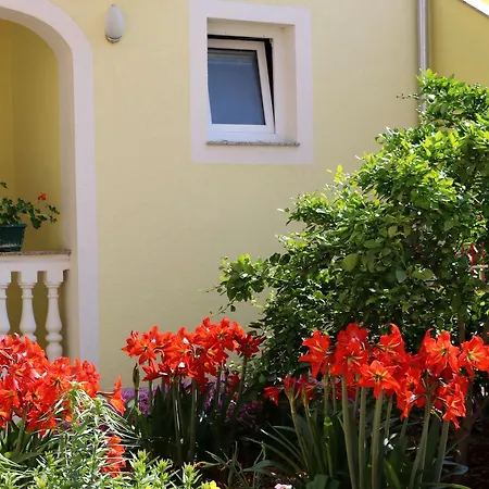 Mihovil זאדאר