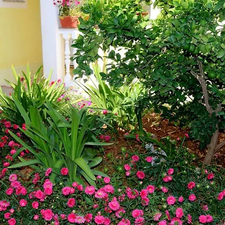 Mihovil Guest house Zadar