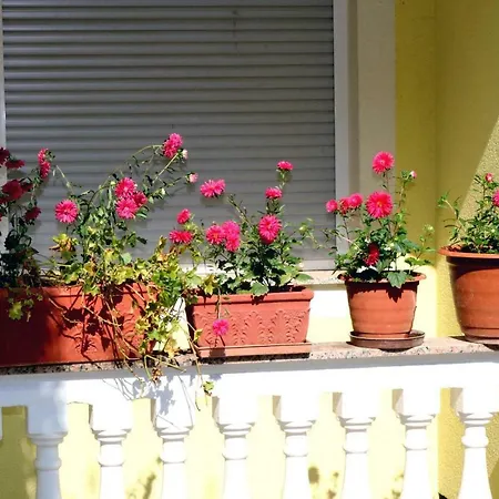 Mihovil Guest house
