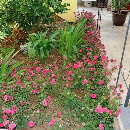 Mihovil Guest house Zadar